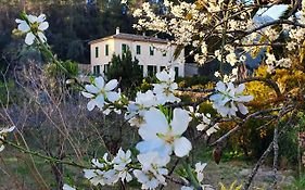 Agroturisme Finca Sa Maniga