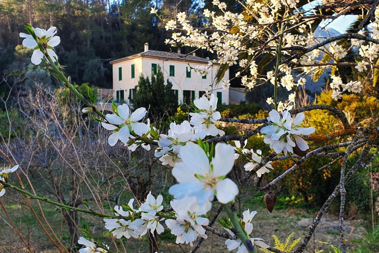 Agroturisme Finca Sa Maniga Bunyola Exterior photo